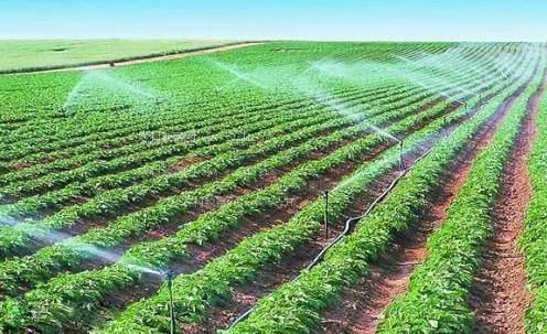 爆操肉穴视频农田高 效节水灌溉